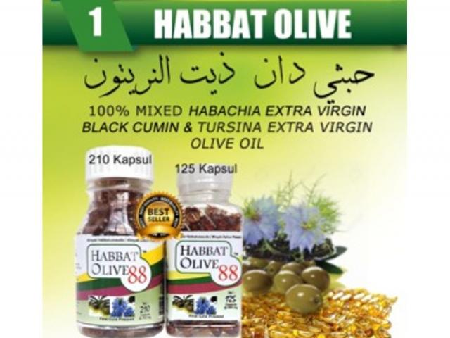 Habbat Olive 88