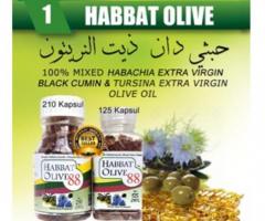 Habbat Olive 88